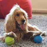 Peppy Pet Ball Interactive Pet Ball - Top-Rated Interactive Pet Toy